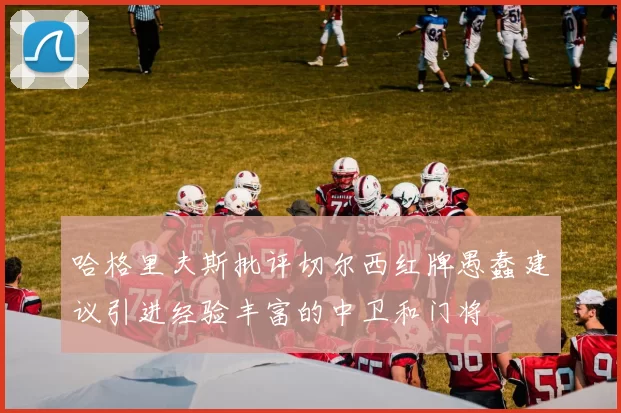 哈格里夫斯批评切尔西红牌愚蠢建议引进经验丰富的中卫和门将
